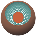 VS_icon.png